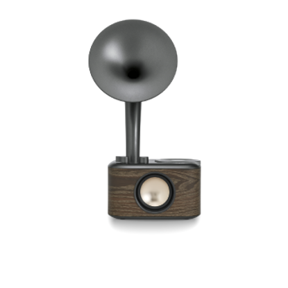 Sangean ChoPin Retro Gramophone Radio